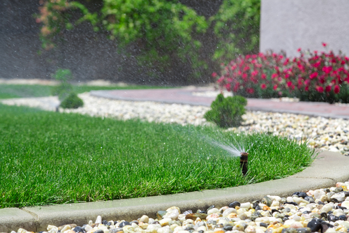 Summer Water-Saving Tips for Your Garden: Garden Water Pumps