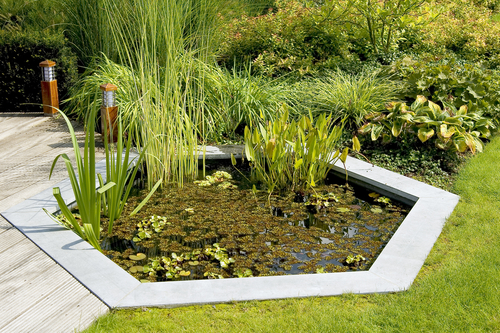 Blog Post Image