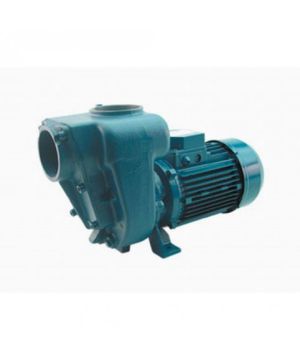 GMP B2KQA-ST EAR4 (HG2T-ST) Self-Priming Trash Pump