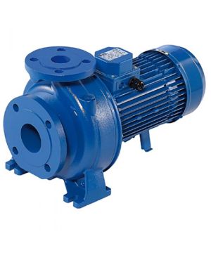 Ebara 3D/I 50-125/4.0 Centrifugal Pump - 400v - Three Phase - 1200 Ltr/min