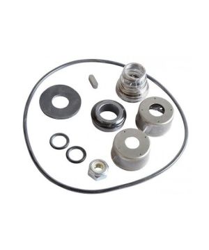 Ebara Seal Kit - 364500018