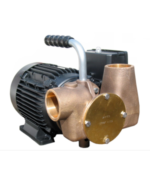 Jabsco 53081-2061-230 Dockside Waste Water Pump - 230v