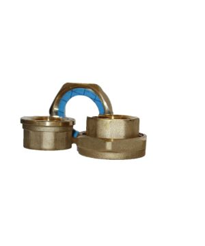 Grundfos 3/4" BSPF Brass Unions - Pair