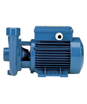 Calpeda CM 16/1E Centrifugal Pump - 240v