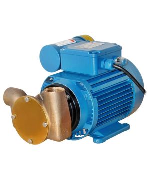 Jabsco 53020-2013 Size 20 'Utility' pump, 230v.