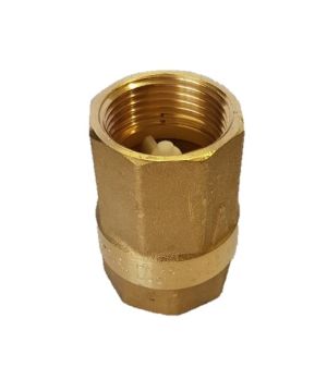 1 ¼ Inch Non-Return Valve