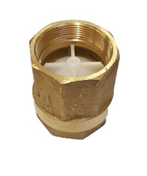 3/4 Inch Non-Return Valve