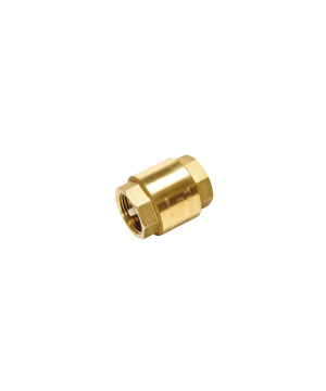 Fit & Flow Non Return Valve Female 2½" BSP - Spring Check - Brass